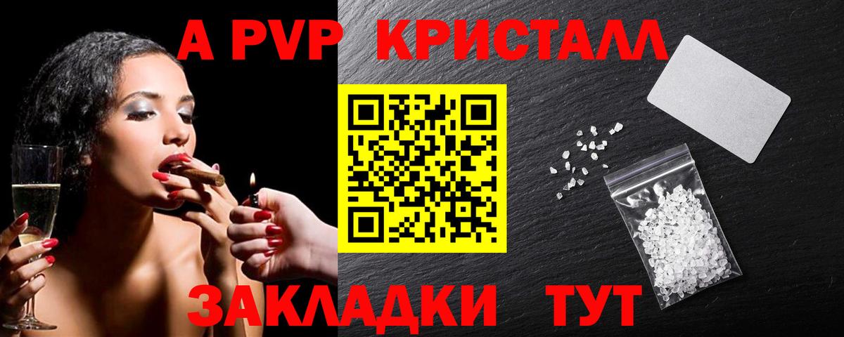 Альфа ПВП СК КРИС Майкоп