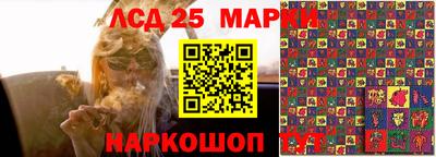 стаф Заводоуковск